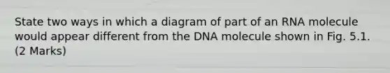 State two ways in which a diagram of part of an RNA molecule would appear different from the DNA molecule shown in Fig. 5.1. (2 Marks)