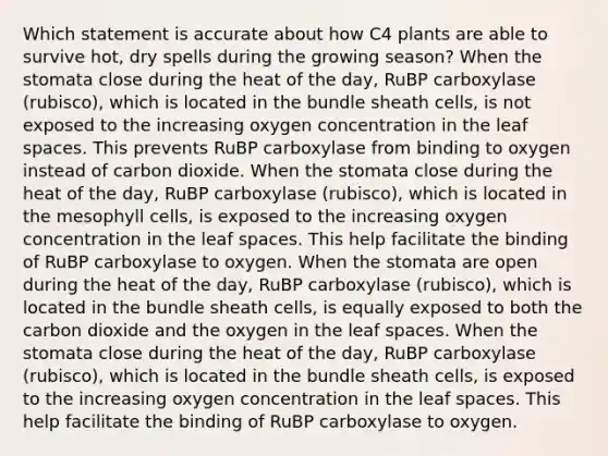 Which statement is accurate about how C4 plants are able to survive hot, dry spells during the growing season? When the stomata close during the heat of the day, RuBP carboxylase (rubisco), which is located in the bundle sheath cells, is not exposed to the increasing oxygen concentration in the leaf spaces. This prevents RuBP carboxylase from binding to oxygen instead of carbon dioxide. When the stomata close during the heat of the day, RuBP carboxylase (rubisco), which is located in the mesophyll cells, is exposed to the increasing oxygen concentration in the leaf spaces. This help facilitate the binding of RuBP carboxylase to oxygen. When the stomata are open during the heat of the day, RuBP carboxylase (rubisco), which is located in the bundle sheath cells, is equally exposed to both the carbon dioxide and the oxygen in the leaf spaces. When the stomata close during the heat of the day, RuBP carboxylase (rubisco), which is located in the bundle sheath cells, is exposed to the increasing oxygen concentration in the leaf spaces. This help facilitate the binding of RuBP carboxylase to oxygen.