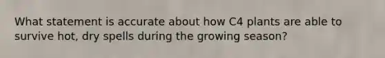 What statement is accurate about how C4 plants are able to survive hot, dry spells during the growing season?