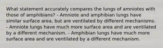 What statement accurately compares the lungs of amniotes with those of amphibians? - Amniote and amphibian lungs have similar surface area, but are ventilated by different mechanisms. - Amniote lungs have much more surface area and are ventilated by a different mechanism. - Amphibian lungs have much more surface area and are ventilated by a different mechanism.