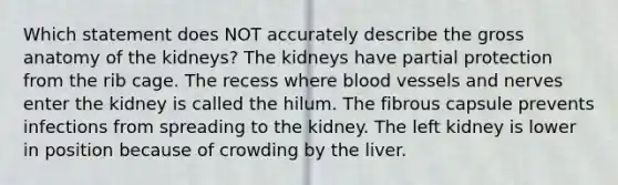 Which statement does NOT accurately describe the gross <a href='https://www.questionai.com/knowledge/kwqqBVwQKG-anatomy-of-the-kidneys' class='anchor-knowledge'>anatomy of the kidneys</a>? The kidneys have partial protection from the rib cage. The recess where <a href='https://www.questionai.com/knowledge/kZJ3mNKN7P-blood-vessels' class='anchor-knowledge'>blood vessels</a> and nerves enter the kidney is called the hilum. The fibrous capsule prevents infections from spreading to the kidney. The left kidney is lower in position because of crowding by the liver.