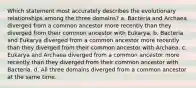 Which statement most accurately describes the evolutionary relationships among the three domains? a. Bacteria and Archaea diverged from a common ancestor more recently than they diverged from their common ancestor with Eukarya. b. Bacteria and Eukarya diverged from a common ancestor more recently than they diverged from their common ancestor with Archaea. c. Eukarya and Archaea diverged from a common ancestor more recently than they diverged from their common ancestor with Bacteria. d. All three domains diverged from a common ancestor at the same time.