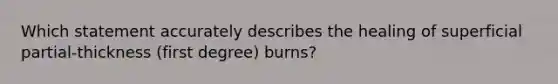 Which statement accurately describes the healing of superficial partial-thickness (first degree) burns?