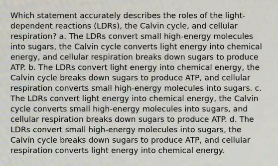 Which statement accurately describes the roles of the light-dependent reactions (LDRs), the Calvin cycle, and cellular respiration? a. The LDRs convert small high-energy molecules into sugars, the Calvin cycle converts light energy into chemical energy, and cellular respiration breaks down sugars to produce ATP. b. The LDRs convert light energy into chemical energy, the Calvin cycle breaks down sugars to produce ATP, and cellular respiration converts small high-energy molecules into sugars. c. The LDRs convert light energy into chemical energy, the Calvin cycle converts small high-energy molecules into sugars, and cellular respiration breaks down sugars to produce ATP. d. The LDRs convert small high-energy molecules into sugars, the Calvin cycle breaks down sugars to produce ATP, and cellular respiration converts light energy into chemical energy.