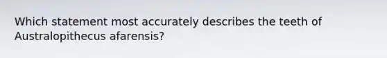 Which statement most accurately describes the teeth of Australopithecus afarensis?