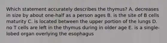 Which statement accurately describes the thymus? A. decreases in size by about one-half as a person ages B. is the site of B cells maturity C. is located between the upper portion of the lungs D. no T cells are left in the thymus during in older age E. is a single-lobed organ overlying the esophagus