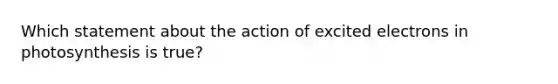 Which statement about the action of excited electrons in photosynthesis is true?