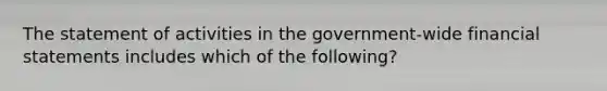 The statement of activities in the government-wide financial statements includes which of the following?