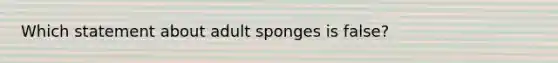 Which statement about adult sponges is false?