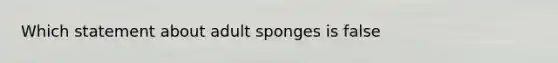 Which statement about adult sponges is false