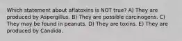 Which statement about aflatoxins is NOT true? A) They are produced by Aspergillus. B) They are possible carcinogens. C) They may be found in peanuts. D) They are toxins. E) They are produced by Candida.