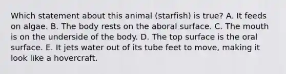 Which statement about this animal (starfish) is true? A. It feeds on algae. B. The body rests on the aboral surface. C. The mouth is on the underside of the body. D. The top surface is the oral surface. E. It jets water out of its tube feet to move, making it look like a hovercraft.