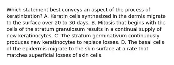 Which statement best conveys an aspect of the process of keratinization? A. Keratin cells synthesized in the dermis migrate to the surface over 20 to 30 days. B. Mitosis that begins with the cells of the stratum granulosum results in a continual supply of new keratinocytes. C. The stratum germinativum continuously produces new keratinocytes to replace losses. D. The basal cells of the epidermis migrate to the skin surface at a rate that matches superficial losses of skin cells.