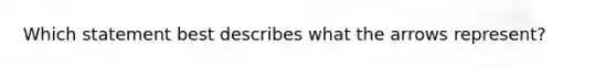 Which statement best describes what the arrows represent?