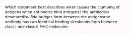 Which statement best describes what causes the clumping of antigens when antibodies bind antigens? the antibodies denaturedisulfide bridges form between the antigensthe antibody has two identical binding sitesbonds form between class I and class II MHC molecules