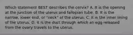 Which statement BEST describes the​ cervix? A. It is the opening at the junction of the uterus and fallopian tube. B. It is the​ narrow, lower​ end, or​ "neck" of the uterus. C. It is the inner lining of the uterus. D. It is the duct through which an egg released from the ovary travels to the uterus.