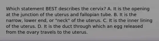 Which statement BEST describes the​ cervix? A. It is the opening at the junction of the uterus and fallopian tube. B. It is the​ narrow, lower​ end, or​ "neck" of the uterus. C. It is the inner lining of the uterus. D. It is the duct through which an egg released from the ovary travels to the uterus.