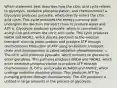 Which statement best describes how the citric acid cycle relates to glycolysis, oxidative phosphorylation, and chemiosmosis? a. Glycolysis produces pyruvate, which directly enters the citric acid cycle. This cycle produces the energy currency that undergoes the electron transport chain to produce water and ATP. b. Glycolysis produces pyruvate, which is converted to acetyl-CoA and enters the citric acid cycle. This cycle produces NADH and FADH2, which donate electrons to the electron transport chain to pump protons and produce ATP through chemiosmosis.Production of ATP using an electron transport chain and chemiosmosis is called oxidative phosphorylation. c. The citric acid produces pyruvate, which converts to glucose to enter glycolysis. This pathway produces NADH and FADH2, which enter oxidative phosphorylation to produce ATP through chemiosmosis. d. Citric acid produces NADH and FADH2, which undergo oxidative phosphorylation. This produces ATP by pumping protons through chemiosmosis. The ATP produced is utilized in large amounts in the process of glycolysis.