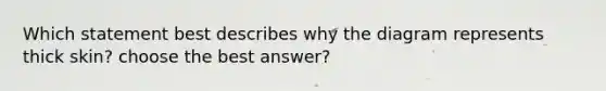 Which statement best describes why the diagram represents thick skin? choose the best answer?