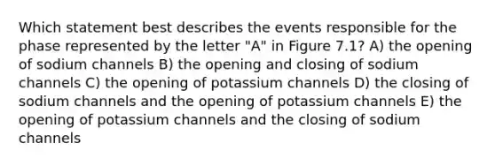 Which statement best describes the events responsible for the phase represented by the letter "A" in Figure 7.1? A) the opening of sodium channels B) the opening and closing of sodium channels C) the opening of potassium channels D) the closing of sodium channels and the opening of potassium channels E) the opening of potassium channels and the closing of sodium channels