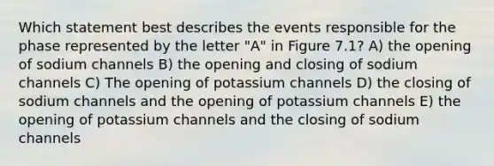 Which statement best describes the events responsible for the phase represented by the letter "A" in Figure 7.1? A) the opening of sodium channels B) the opening and closing of sodium channels C) The opening of potassium channels D) the closing of sodium channels and the opening of potassium channels E) the opening of potassium channels and the closing of sodium channels