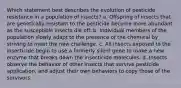 Which statement best describes the evolution of pesticide resistance in a population of insects? a. Offspring of insects that are genetically resistant to the pesticide become more abundant as the susceptible insects die off. b. Individual members of the population slowly adapt to the presence of the chemical by striving to meet the new challenge. c. All insects exposed to the insecticide begin to use a formerly silent gene to make a new enzyme that breaks down the insecticide molecules. d. Insects observe the behavior of other insects that survive pesticide application, and adjust their own behaviors to copy those of the survivors.