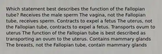 Which statement best describes the function of the Fallopian tube? Receives the male sperm The vagina, not the Fallopian tube, receives sperm. Contracts to expel a fetus The uterus, not the Fallopian tube, contracts to expel a fetus. Transports ovum to uterus The function of the Fallopian tube is best described as transporting an ovum to the uterus. Contains mammary glands The breasts, not the Fallopian tube, contain mammary glands