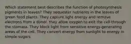 Which statement best describes the function of photosynthesis pigments in leaves? They sequester nutrients in the leaves of green food plants. They capture light energy and remove electrons from a donor. they allow oxygen to exit the cell through the stomata. They block light from sensitive energy-generating areas of the cell. They convert energy from sunlight to energy in simple sugars