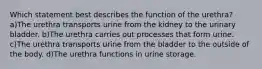 Which statement best describes the function of the urethra? a)The urethra transports urine from the kidney to the urinary bladder. b)The urethra carries out processes that form urine. c)The urethra transports urine from the bladder to the outside of the body. d)The urethra functions in urine storage.