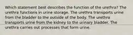 Which statement best describes the function of the urethra? The urethra functions in urine storage. The urethra transports urine from the bladder to the outside of the body. The urethra transports urine from the kidney to the urinary bladder. The urethra carries out processes that form urine.