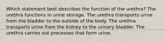 Which statement best describes the function of the urethra? The urethra functions in urine storage. The urethra transports urine from the bladder to the outside of the body. The urethra transports urine from the kidney to the <a href='https://www.questionai.com/knowledge/kb9SdfFdD9-urinary-bladder' class='anchor-knowledge'>urinary bladder</a>. The urethra carries out processes that form urine.