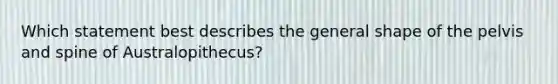 Which statement best describes the general shape of the pelvis and spine of Australopithecus?