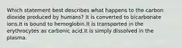 Which statement best describes what happens to the carbon dioxide produced by humans? It is converted to bicarbonate ions.It is bound to hemoglobin.It is transported in the erythrocytes as carbonic acid.It is simply dissolved in the plasma.