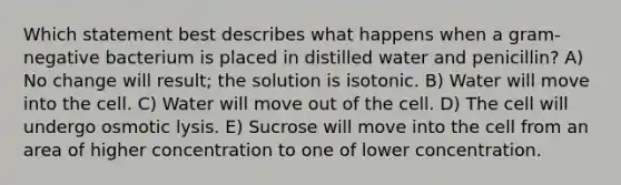 Which statement best describes what happens when a gram-negative bacterium is placed in distilled water and penicillin? A) No change will result; the solution is isotonic. B) Water will move into the cell. C) Water will move out of the cell. D) The cell will undergo osmotic lysis. E) Sucrose will move into the cell from an area of higher concentration to one of lower concentration.