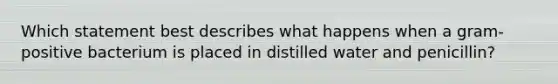 Which statement best describes what happens when a gram-positive bacterium is placed in distilled water and penicillin?