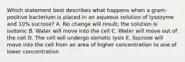 Which statement best describes what happens when a gram-positive bacterium is placed in an aqueous solution of lysozyme and 10% sucrose? A. No change will result; the solution is isotonic B. Water will move into the cell C. Water will move out of the cell D. The cell will undergo osmotic lysis E. Sucrose will move into the cell from an area of higher concentration to one of lower concentration