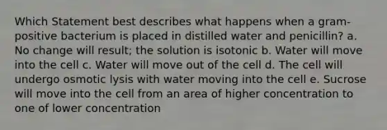 Which Statement best describes what happens when a gram-positive bacterium is placed in distilled water and penicillin? a. No change will result; the solution is isotonic b. Water will move into the cell c. Water will move out of the cell d. The cell will undergo osmotic lysis with water moving into the cell e. Sucrose will move into the cell from an area of higher concentration to one of lower concentration