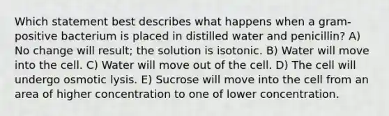 Which statement best describes what happens when a gram-positive bacterium is placed in distilled water and penicillin? A) No change will result; the solution is isotonic. B) Water will move into the cell. C) Water will move out of the cell. D) The cell will undergo osmotic lysis. E) Sucrose will move into the cell from an area of higher concentration to one of lower concentration.