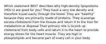 Which statement BEST describes why high-density lipoproteins (HDL's) are good for you? They have a very low density and therefore travel easily through the blood. They are "healthy" because they are primarily made of proteins. They scavenge excess cholesterol from the tissues and return it to the liver for metabolism or disposal Their primary role is to pick up cholesterol from body cells and return it to the heart to provide energy stores for the heart muscle. They are high in phospholipids and become part of every cell in your body.