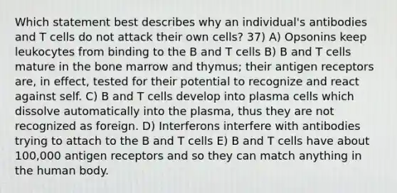 Which statement best describes why an individual's antibodies and T cells do not attack their own cells? 37) A) Opsonins keep leukocytes from binding to the B and T cells B) B and T cells mature in the bone marrow and thymus; their antigen receptors are, in effect, tested for their potential to recognize and react against self. C) B and T cells develop into plasma cells which dissolve automatically into the plasma, thus they are not recognized as foreign. D) Interferons interfere with antibodies trying to attach to the B and T cells E) B and T cells have about 100,000 antigen receptors and so they can match anything in the human body.