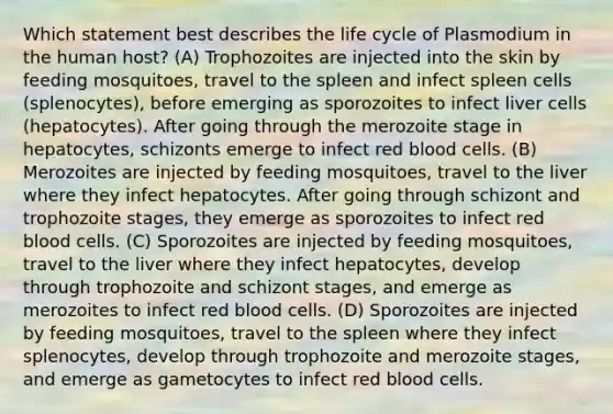 Which statement best describes the life cycle of Plasmodium in the human host? (A) Trophozoites are injected into the skin by feeding mosquitoes, travel to the spleen and infect spleen cells (splenocytes), before emerging as sporozoites to infect liver cells (hepatocytes). After going through the merozoite stage in hepatocytes, schizonts emerge to infect red blood cells. (B) Merozoites are injected by feeding mosquitoes, travel to the liver where they infect hepatocytes. After going through schizont and trophozoite stages, they emerge as sporozoites to infect red blood cells. (C) Sporozoites are injected by feeding mosquitoes, travel to the liver where they infect hepatocytes, develop through trophozoite and schizont stages, and emerge as merozoites to infect red blood cells. (D) Sporozoites are injected by feeding mosquitoes, travel to the spleen where they infect splenocytes, develop through trophozoite and merozoite stages, and emerge as gametocytes to infect red blood cells.