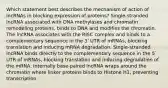 Which statement best describes the mechanism of action of lncRNAs in blocking expression of proteins? Single-stranded lncRNA associated with DNA methylases and chromatin remodeling proteins, binds to DNA and modifies the chromatin. The lncRNA associates with the RISC complex and binds to a complementary sequence in the 3ʹ UTR of mRNAs, blocking translation and inducing mRNA degradation. Single-stranded lncRNA binds directly to the complementary sequence in the 5ʹ UTR of mRNAs, blocking translation and inducing degradation of the mRNA. Internally base-paired lncRNA wraps around the chromatin where linker proteins binds to Histone H1, preventing transcription.