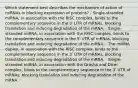 Which statement best describes the mechanism of action of miRNAs in blocking expression of proteins? - Single-stranded miRNA, in association with the RISC complex, binds to the complementary sequence in the 3ʹ UTR of mRNAs, blocking translation and inducing degradation of the mRNA. - Single-stranded miRNA, in association with the RISC complex, binds to the complementary sequence in the 5ʹ UTR of mRNAs, blocking translation and inducing degradation of the mRNA. - The miRNA duplex, in association with the RISC complex, binds to the complementary sequence in the 3ʹ UTR of mRNAs, blocking translation and inducing degradation of the mRNA. - Single-stranded miRNA, in association with the Drosha and Dicer complex, binds to the complementary sequence in the 3ʹ UTR of mRNAs, blocking translation and inducing degradation of the mRNA.