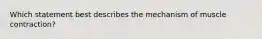 Which statement best describes the mechanism of muscle contraction?