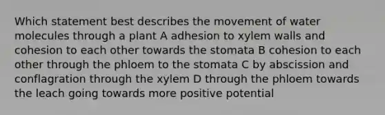 Which statement best describes the movement of water molecules through a plant A adhesion to xylem walls and cohesion to each other towards the stomata B cohesion to each other through the phloem to the stomata C by abscission and conflagration through the xylem D through the phloem towards the leach going towards more positive potential