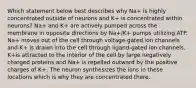 Which statement below best describes why Na+ is highly concentrated outside of neurons and K+ is concentrated within neurons? Na+ and K+ are actively pumped across the membrane in opposite directions by Na+/K+ pumps utilizing ATP. Na+ moves out of the cell through voltage-gated ion channels and K+ is drawn into the cell through ligand-gated ion channels. K+is attracted to the interior of the cell by large negatively charged proteins and Na+ is repelled outward by the positive charges of K+. The neuron synthesizes the ions in these locations which is why they are concentrated there.