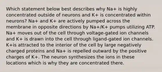 Which statement below best describes why Na+ is highly concentrated outside of neurons and K+ is concentrated within neurons? Na+ and K+ are actively pumped across the membrane in opposite directions by Na+/K+ pumps utilizing ATP. Na+ moves out of the cell through voltage-gated ion channels and K+ is drawn into the cell through ligand-gated ion channels. K+is attracted to the interior of the cell by large negatively charged proteins and Na+ is repelled outward by the positive charges of K+. The neuron synthesizes the ions in these locations which is why they are concentrated there.