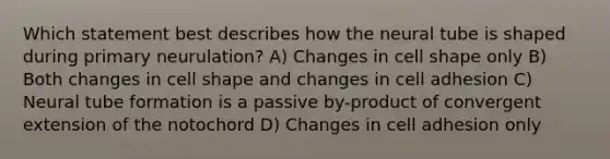 Which statement best describes how the neural tube is shaped during primary neurulation? A) Changes in cell shape only B) Both changes in cell shape and changes in cell adhesion C) Neural tube formation is a passive by-product of convergent extension of the notochord D) Changes in cell adhesion only