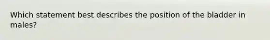 Which statement best describes the position of the bladder in males?