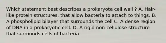 Which statement best describes a prokaryote cell wall ? A. Hair-like protein structures, that allow bacteria to attach to things. B. A phospholipid bilayer that surrounds the cell C. A dense region of DNA in a prokaryotic cell. D. A rigid non-cellulose structure that surrounds cells of bacteria